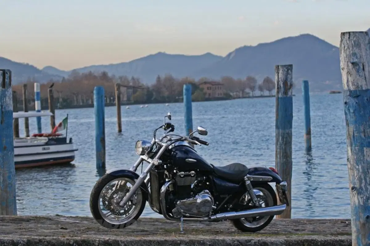 Triumph Thunderbird  (11)