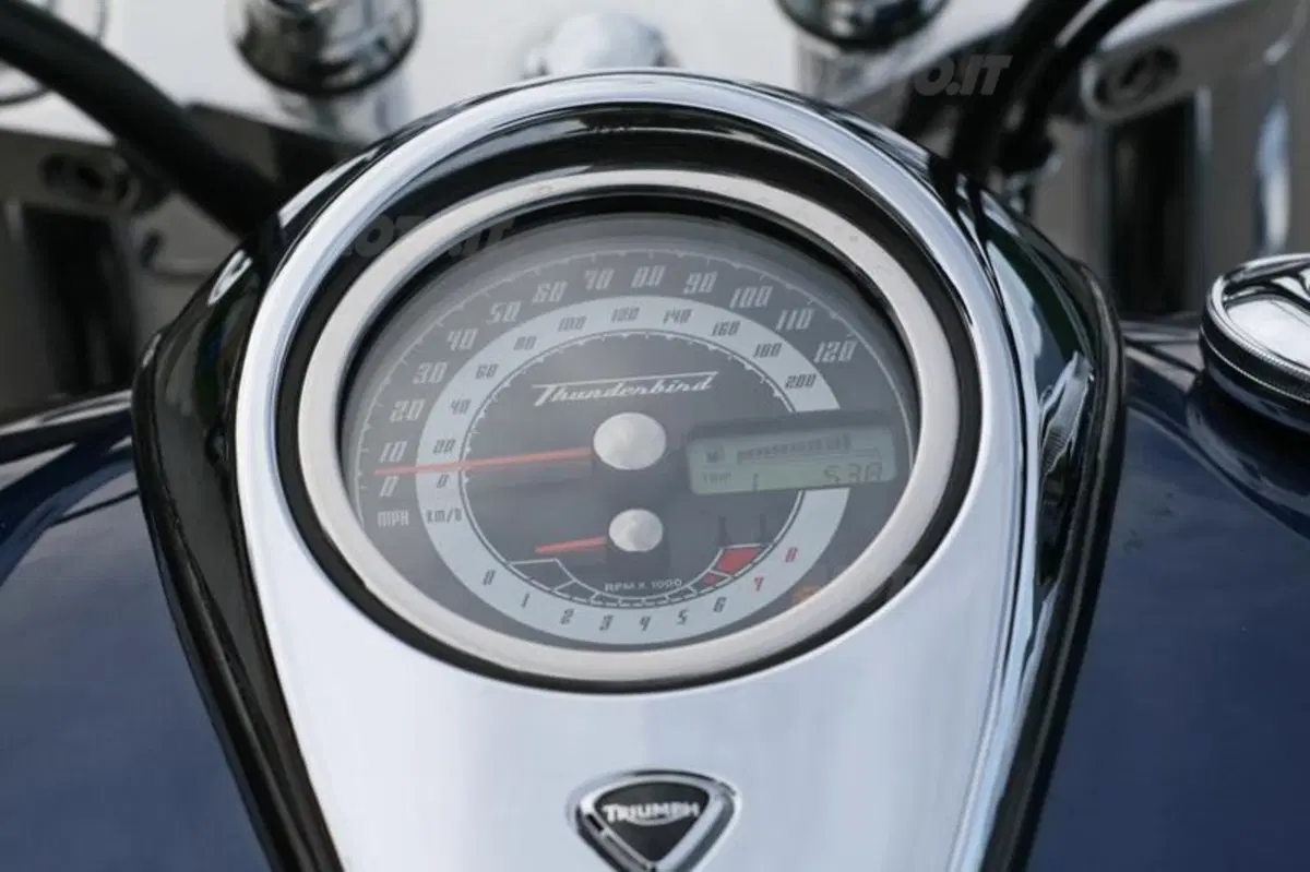 Triumph Thunderbird  (15)