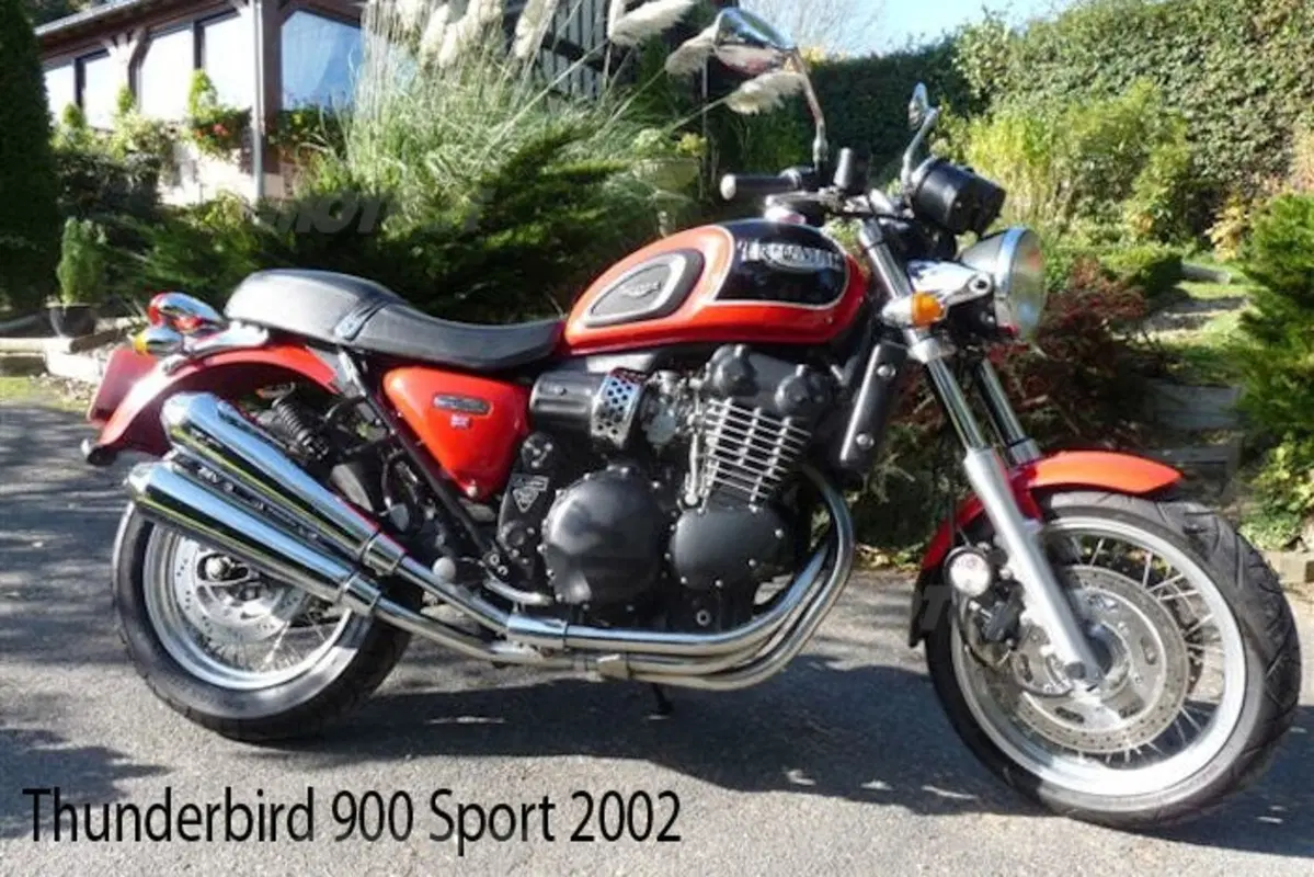 Triumph Thunderbird  (23)