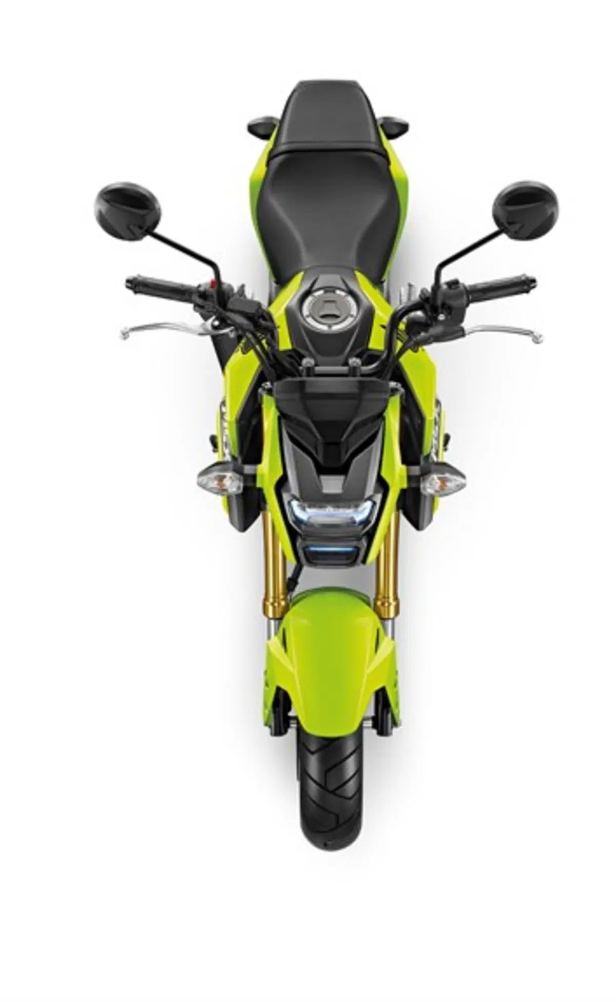 Honda MSX 125 MSX 125 (2016 - 17) (6)