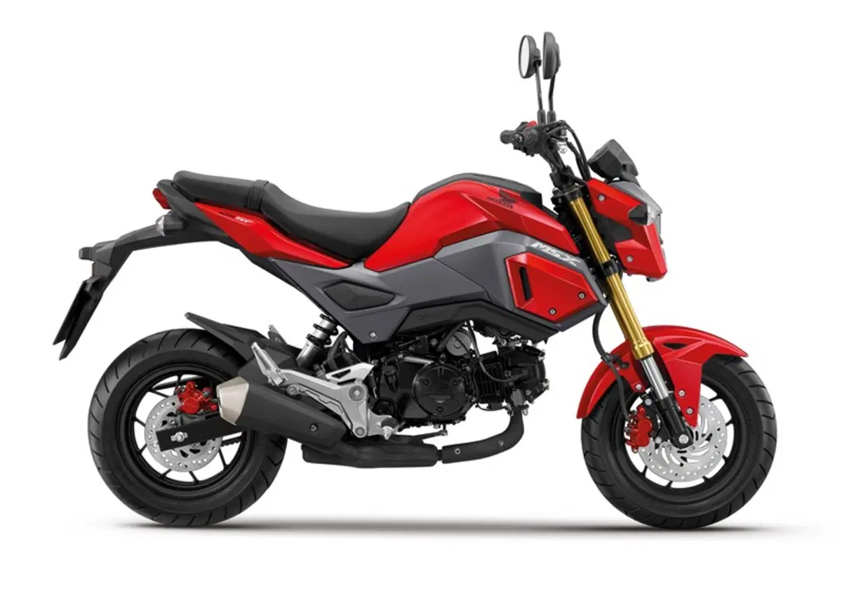Honda MSX 125 MSX 125 (2016 - 17) (3)