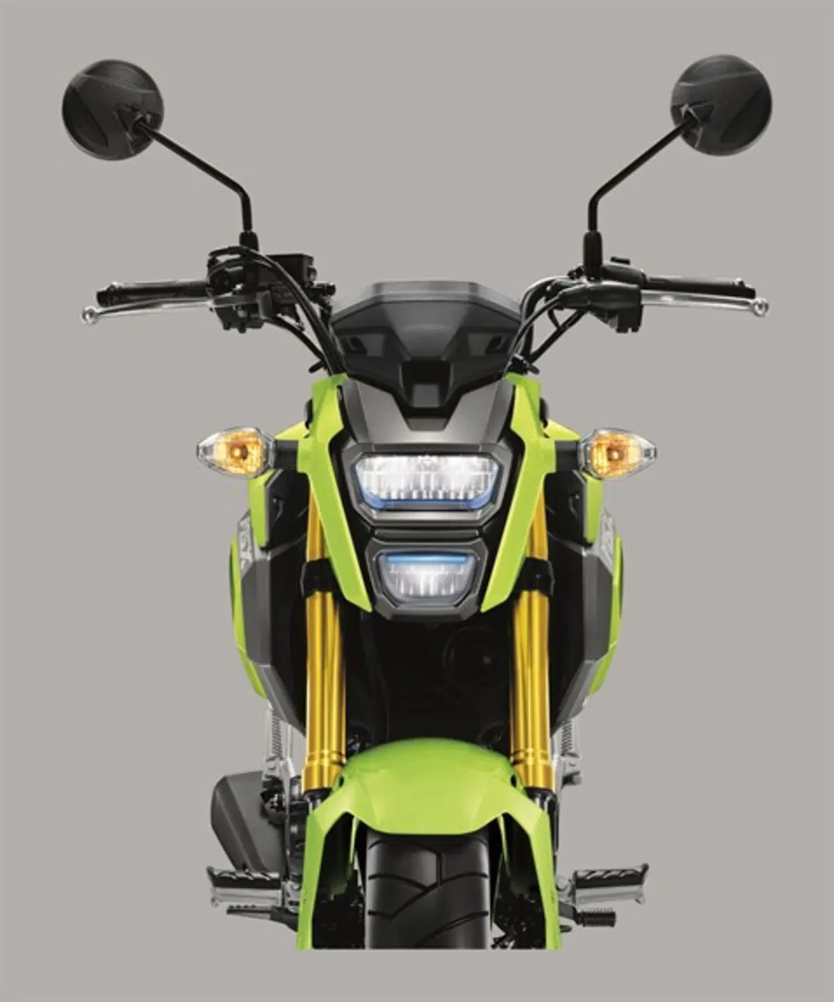 Honda MSX 125 MSX 125 (2016 - 17) (8)