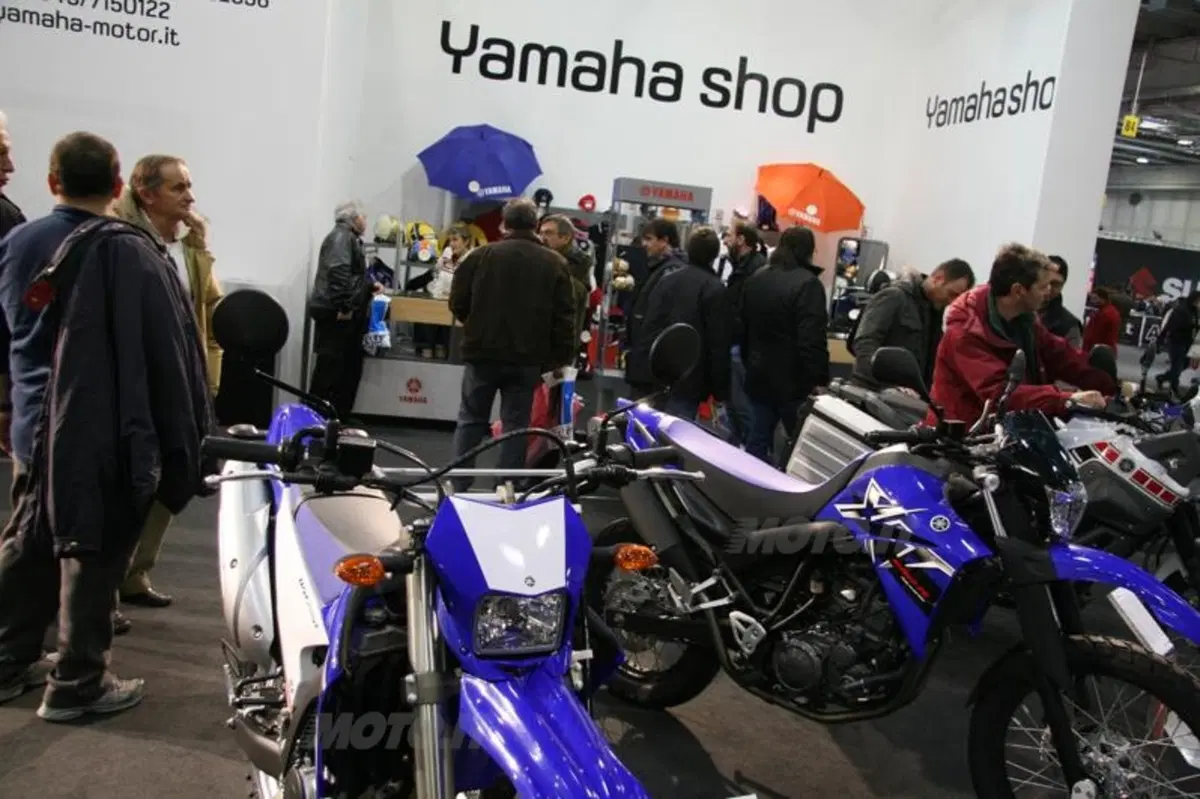 Bellezze e curiosità alla fiera di Verona (38)