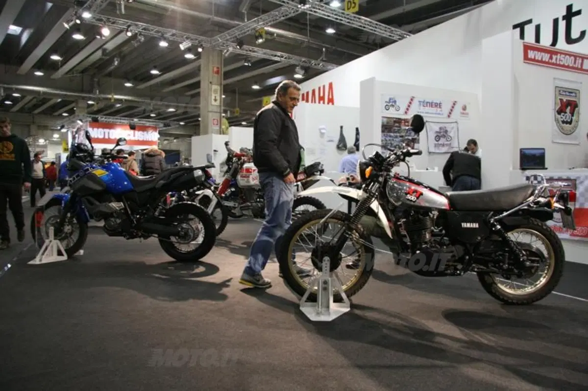 Bellezze e curiosità alla fiera di Verona (42)