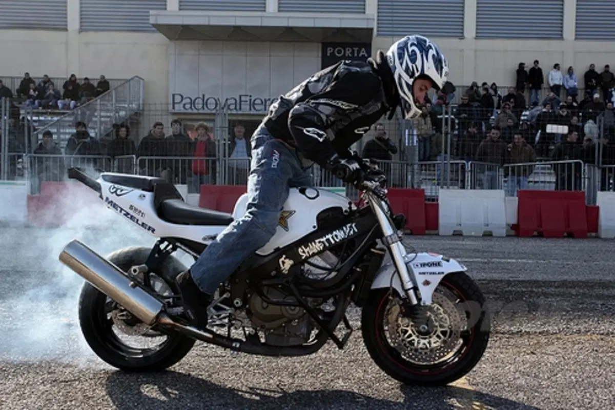 Le più belle foto della fiera di Padova (12)