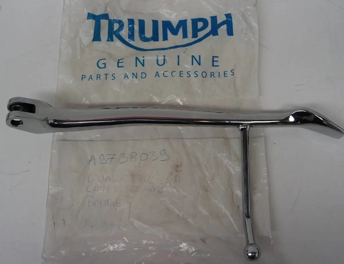 Cavalletto Boneville 900 Triumph (2)