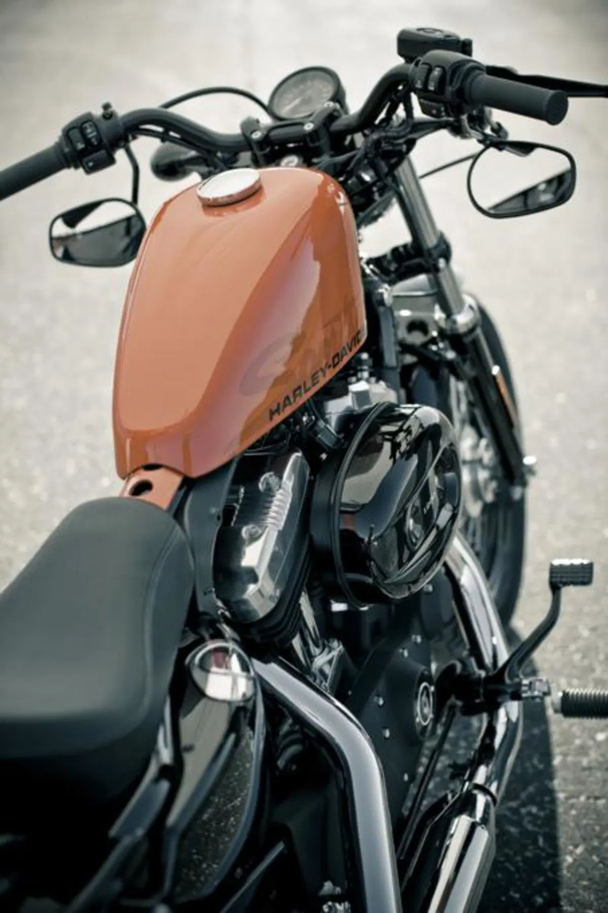 Harley-Davidson Forty-Eight Sportster  (2)