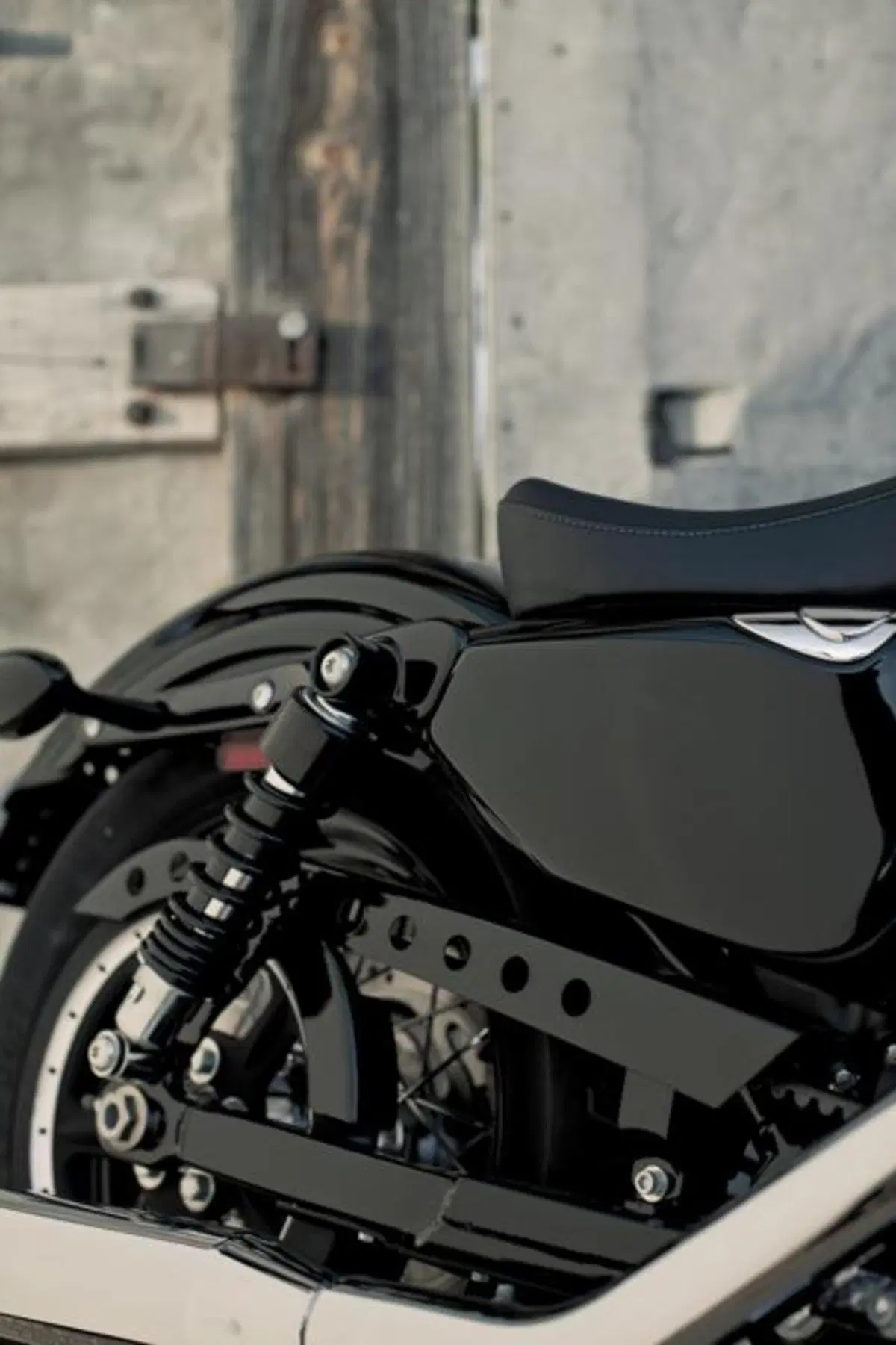 Harley-Davidson Forty-Eight Sportster  (3)