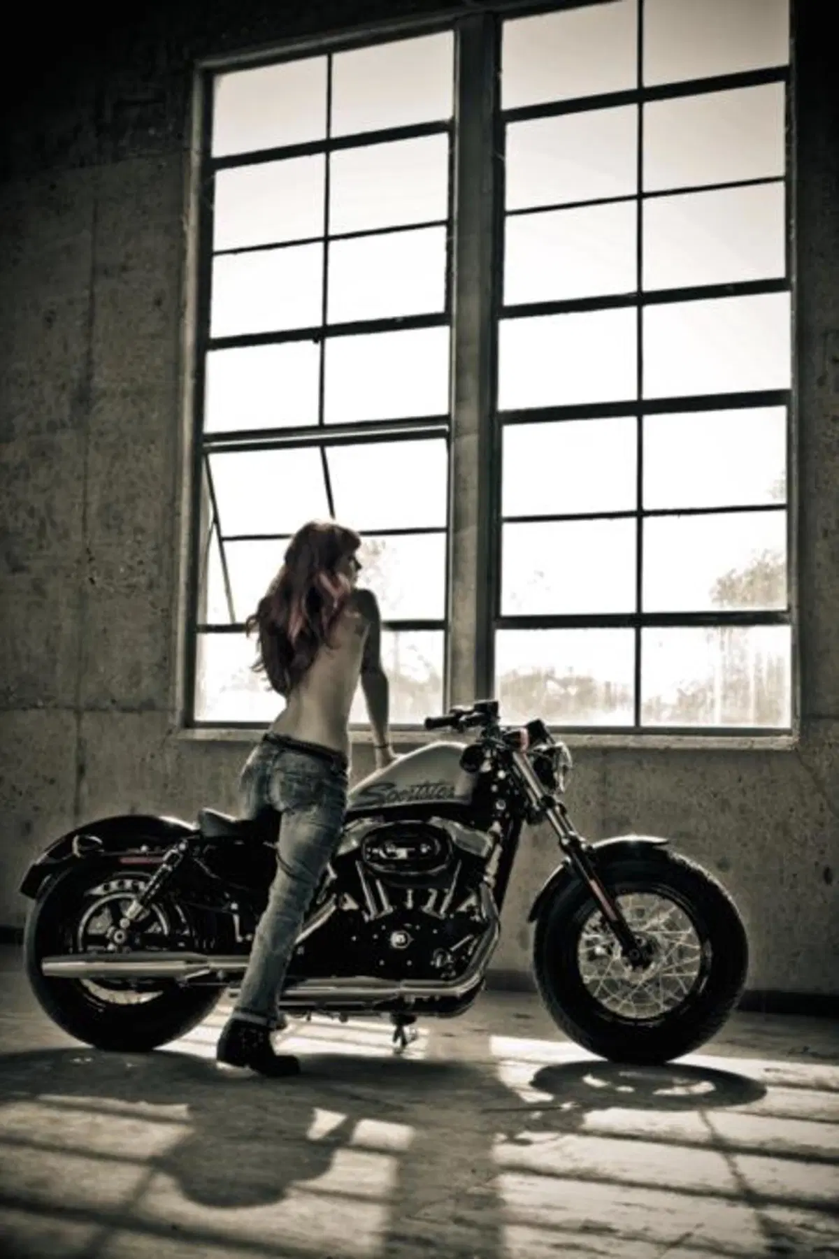 Harley-Davidson Forty-Eight Sportster  (4)