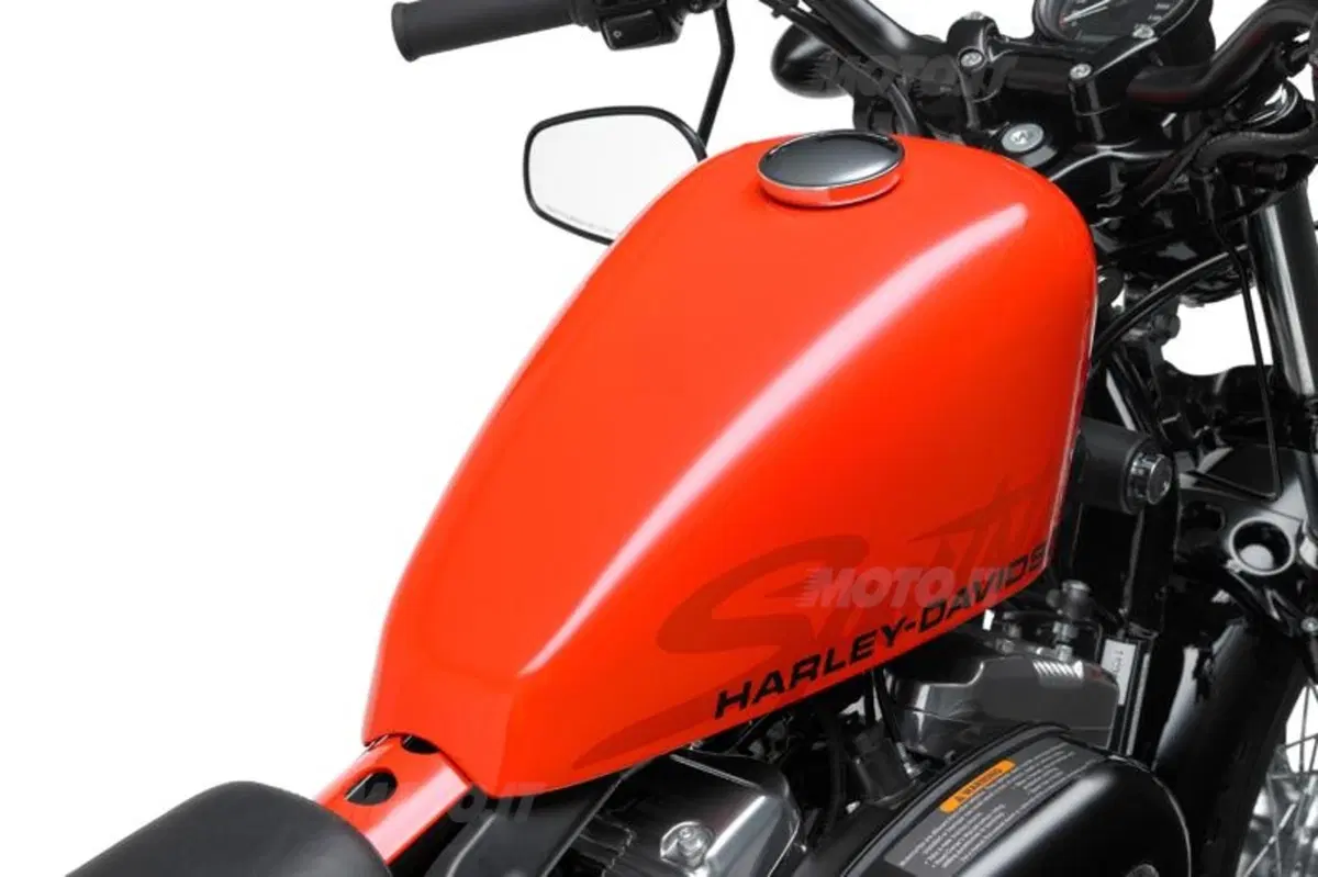 Harley-Davidson Forty-Eight Sportster  (9)
