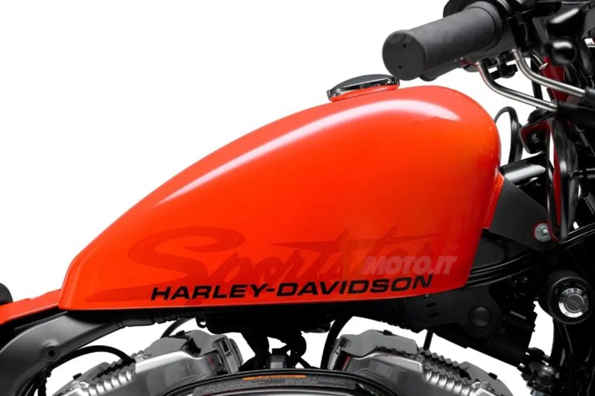 Harley-Davidson Forty-Eight Sportster  (11)