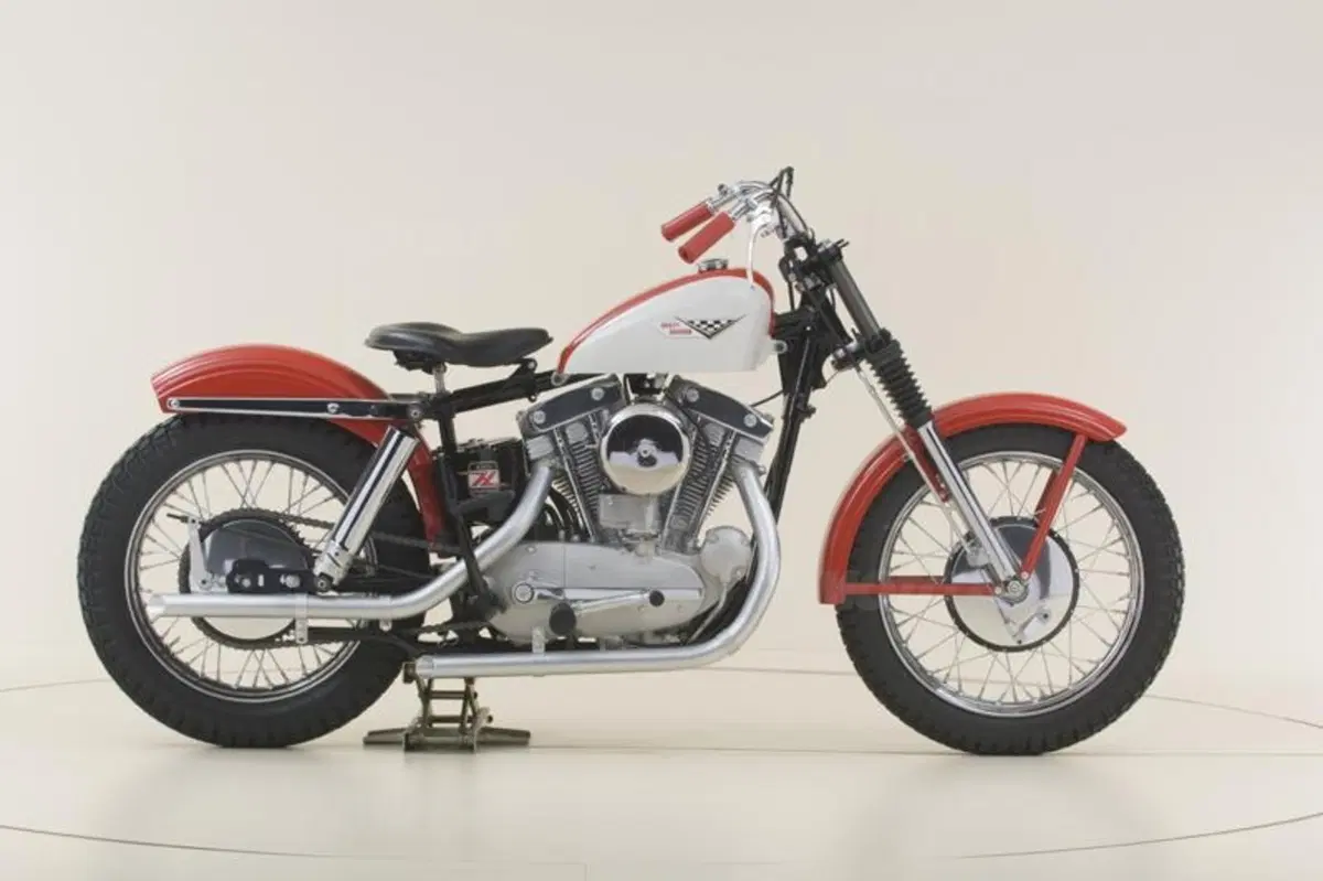 Harley-Davidson Forty-Eight Sportster  (15)