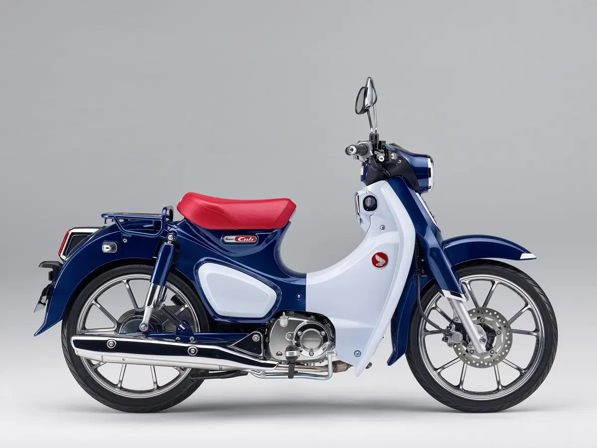Honda Super Cub C125 Super Cub C125 (2018 - 20) (3)