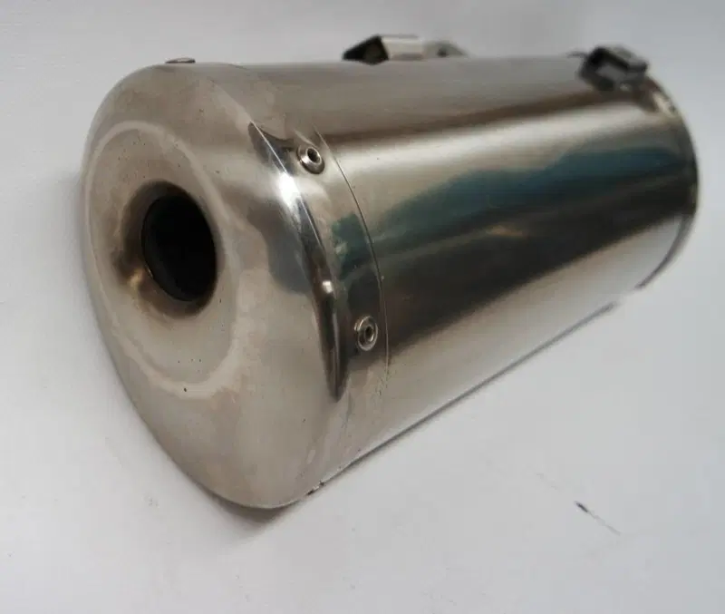 Terminale Speed 1050 Triumph (3)