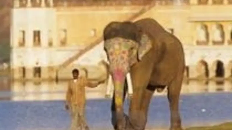 Viaggi. Alla scoperta dell'India 