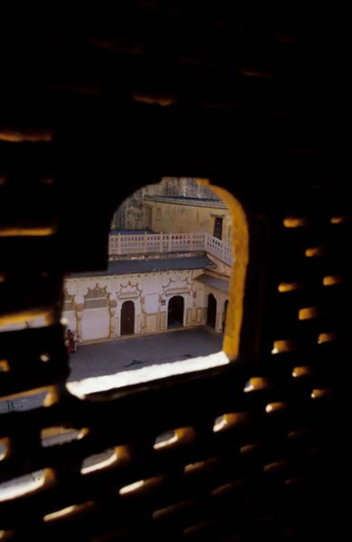 Viaggi. Alla scoperta dell'India  (4)