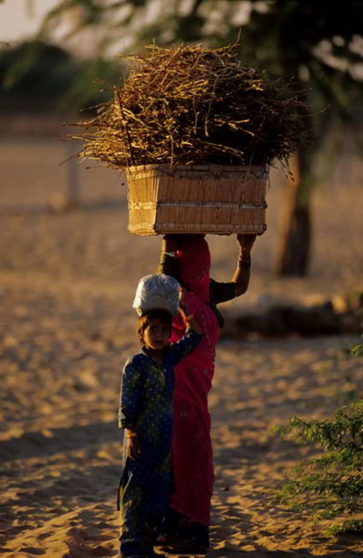 Viaggi. Alla scoperta dell'India  (10)