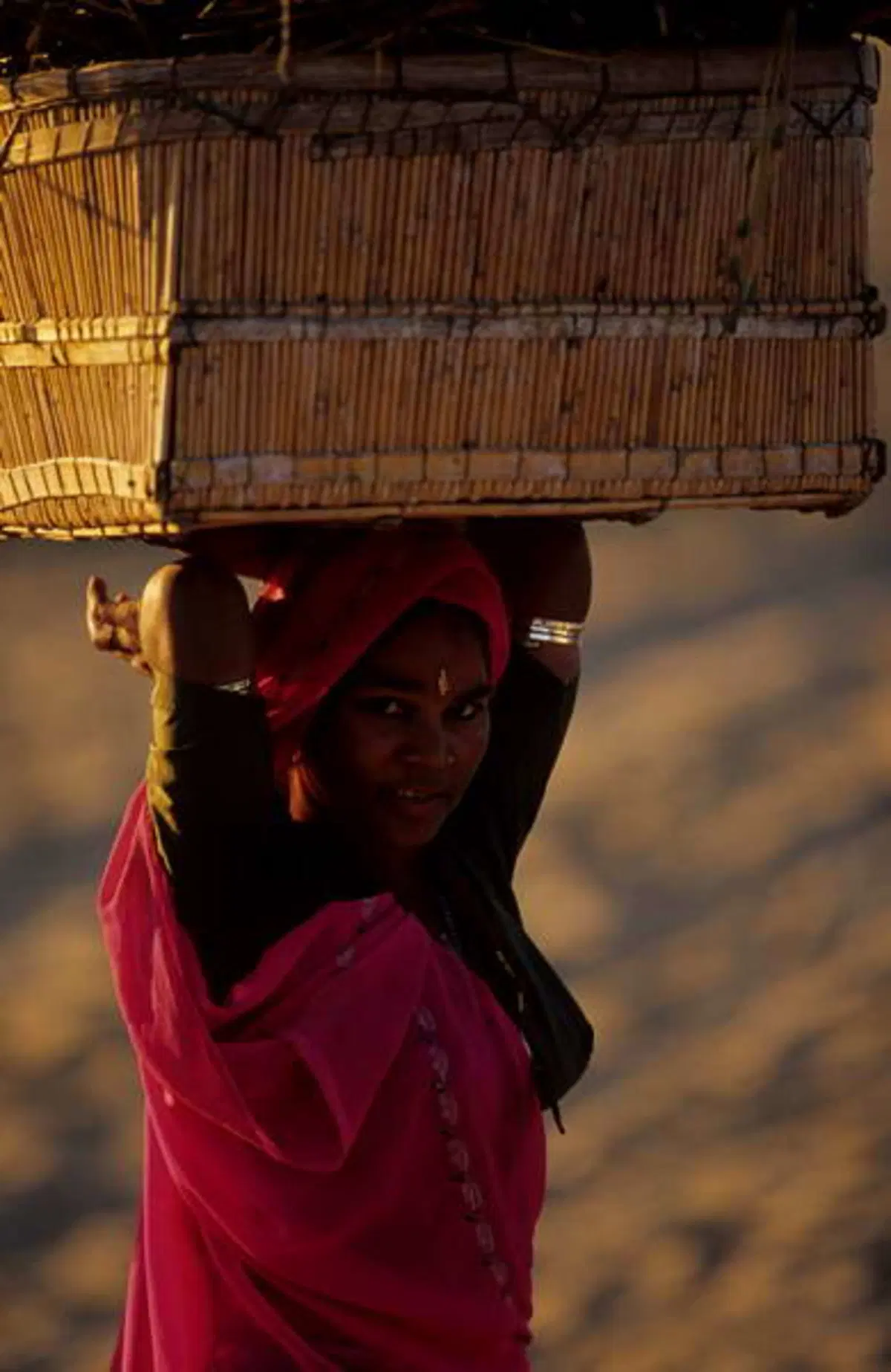 Viaggi. Alla scoperta dell'India  (13)