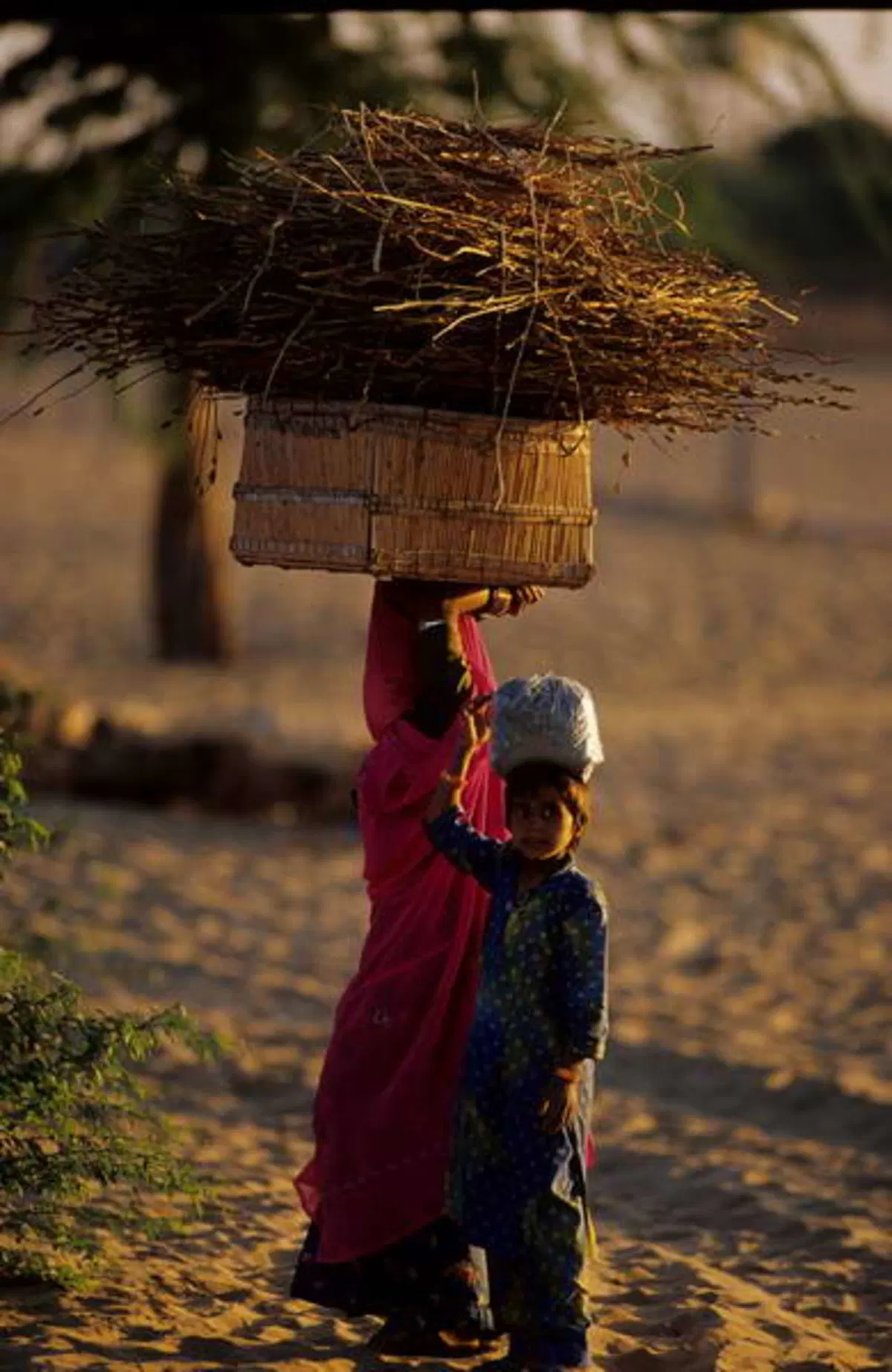 Viaggi. Alla scoperta dell'India  (14)