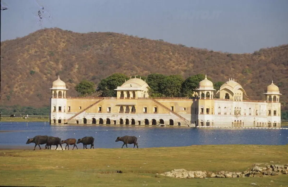 Viaggi. Alla scoperta dell'India  (19)