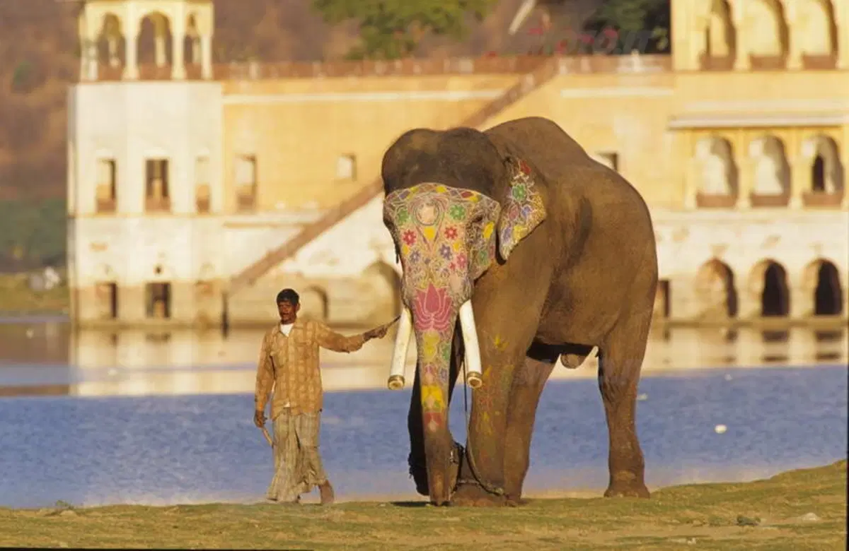 Viaggi. Alla scoperta dell'India  (20)