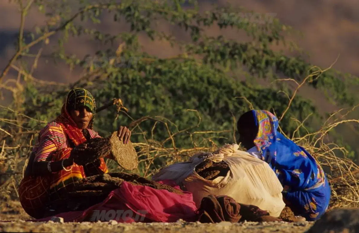 Viaggi. Alla scoperta dell'India  (28)