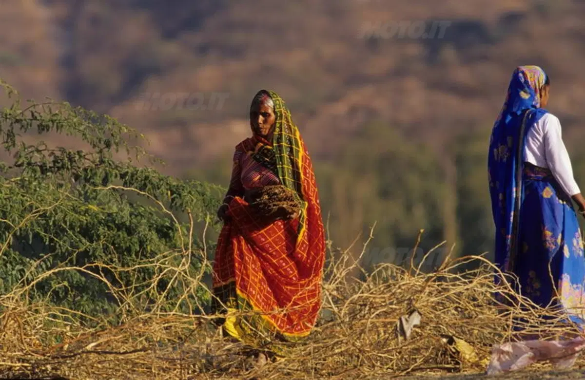 Viaggi. Alla scoperta dell'India  (29)
