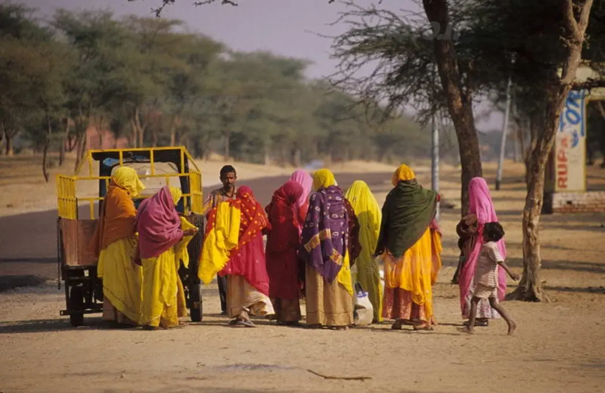 Viaggi. Alla scoperta dell'India  (34)