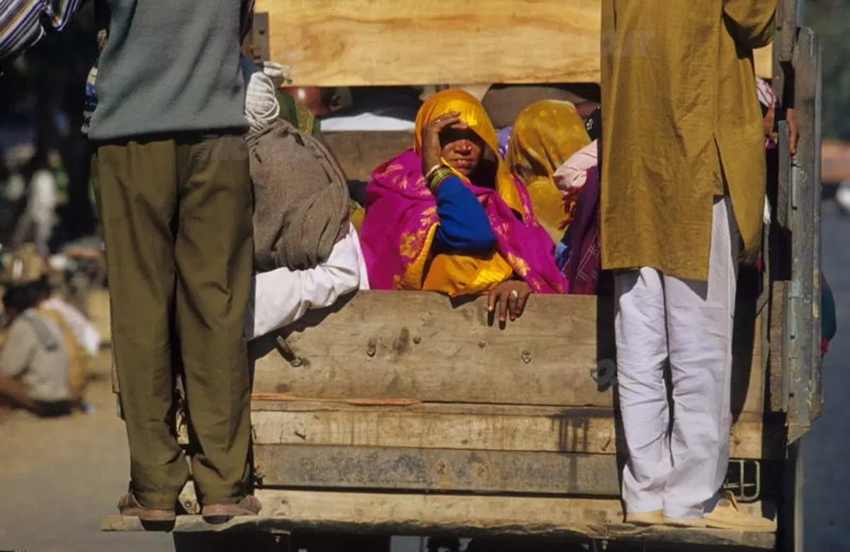 Viaggi. Alla scoperta dell'India  (39)