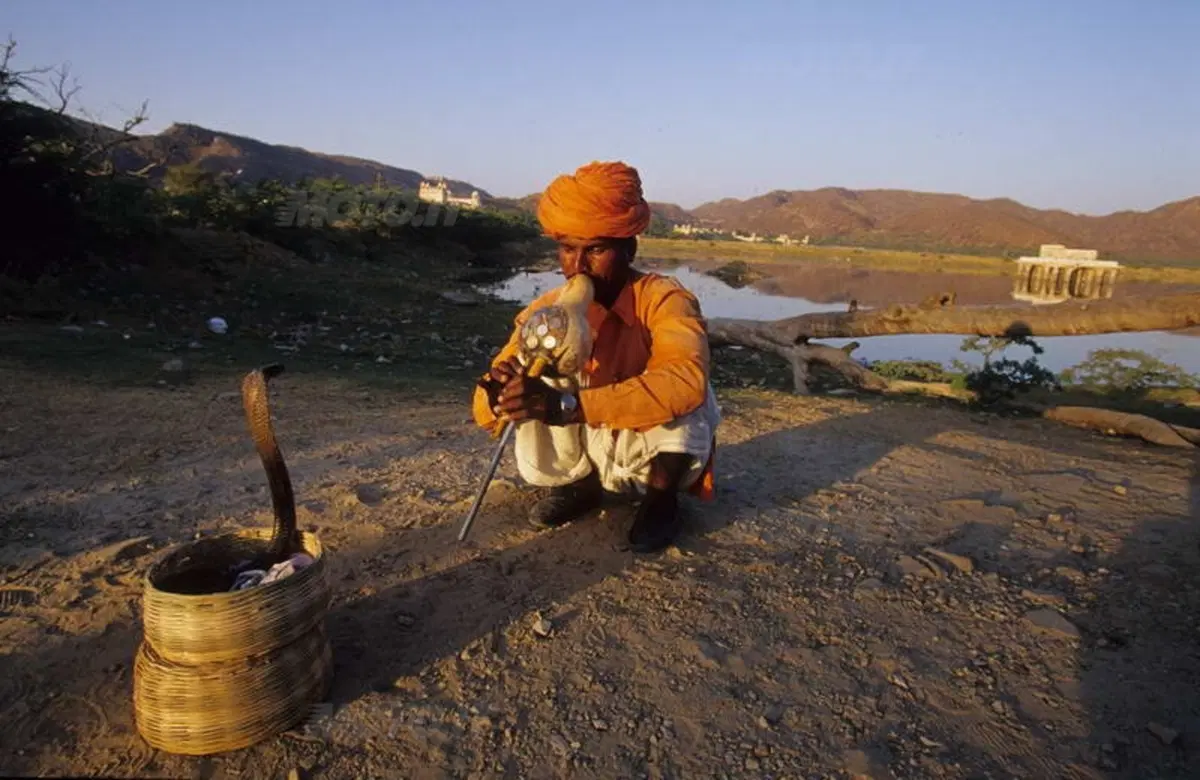 Viaggi. Alla scoperta dell'India  (41)