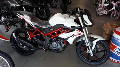 Benelli BN 125 (2021 - 25) nuova