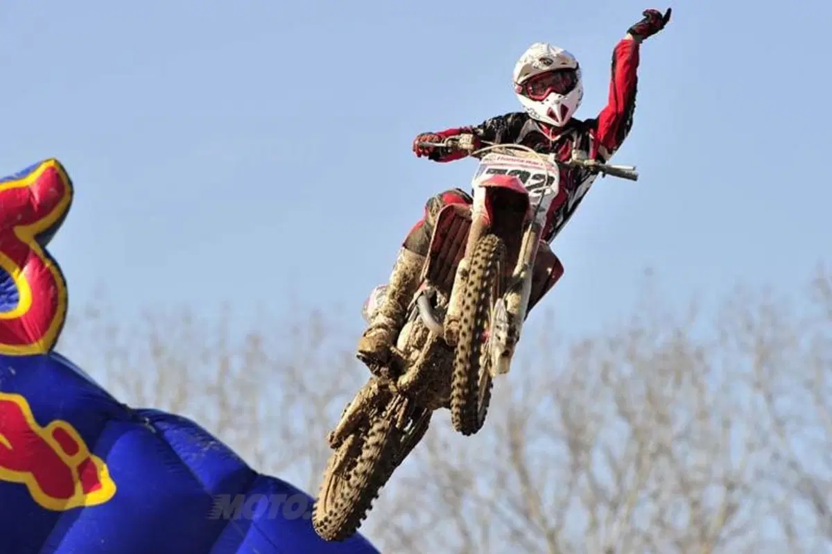 Cairoli e Simpson Re di Mantova