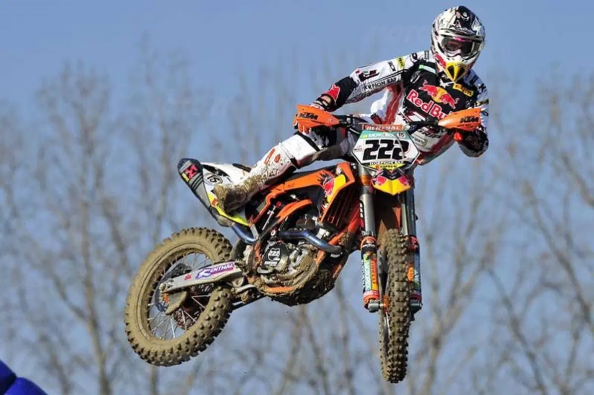 Cairoli e Simpson Re di Mantova (2)