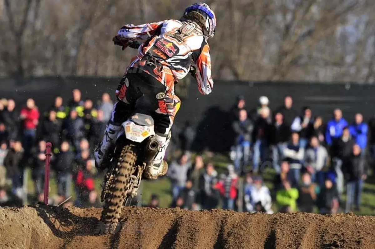 Cairoli e Simpson Re di Mantova (7)