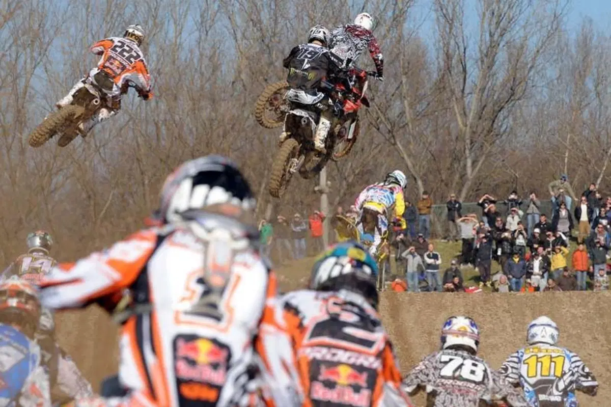 Cairoli e Simpson Re di Mantova (12)