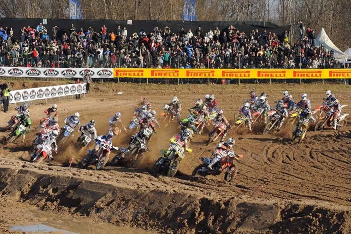 Cairoli e Simpson Re di Mantova (13)
