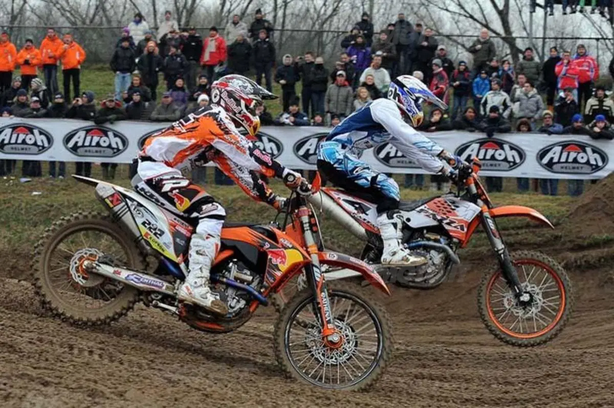 Cairoli e Simpson Re di Mantova (16)