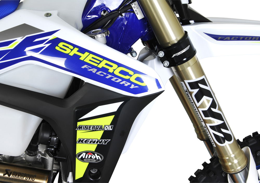 Sherco 450 SEF Factory (2019) (2)