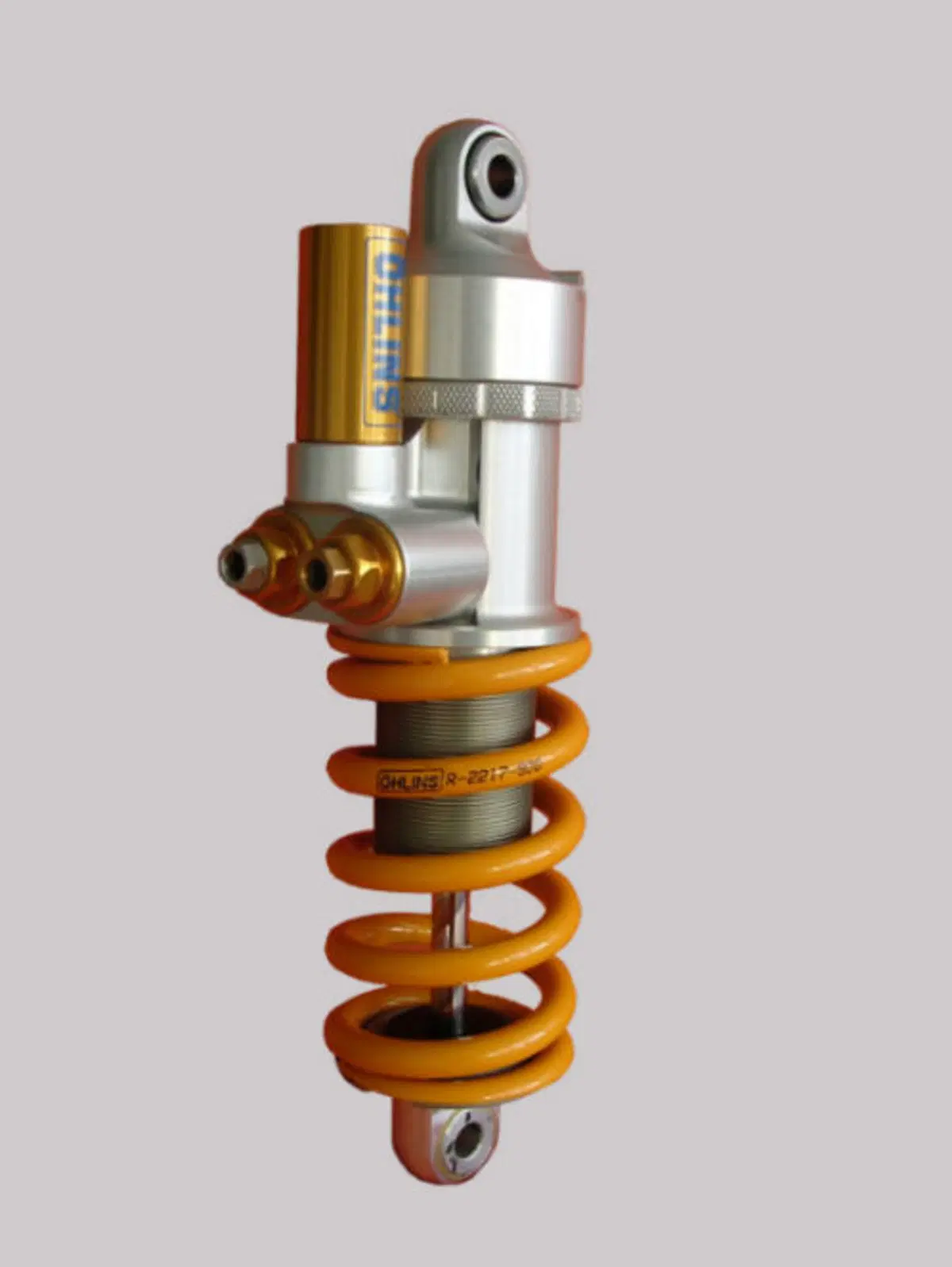 Öhlins per tutti, in MotoGP (5)