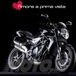 MV Agusta Brutale: passione per due