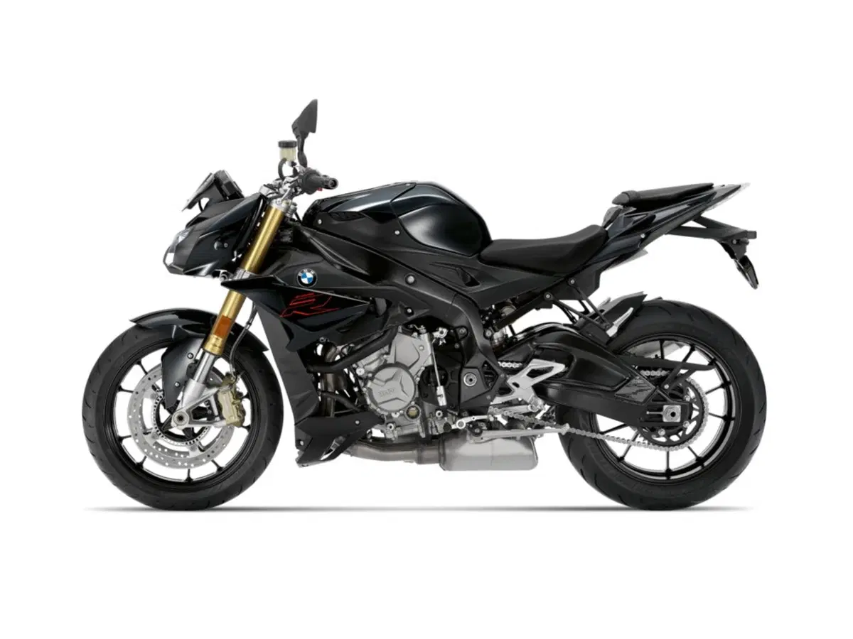 Bmw S 1000 R S 1000 R (2017 - 20) (9)