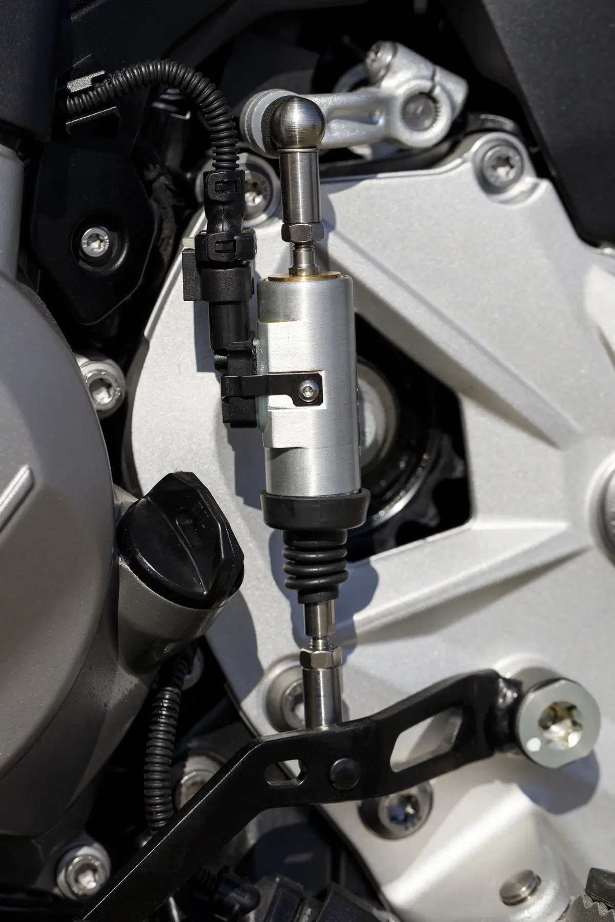 BMW F 850GS e F 750GS. Test e tecnica delle nuove maxi enduro (5)