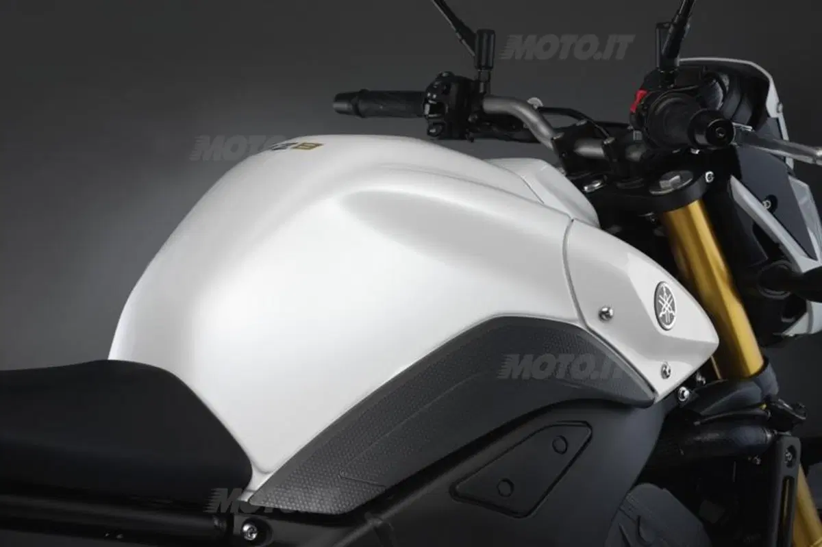 Svelata la Yamaha FZ8 (33)