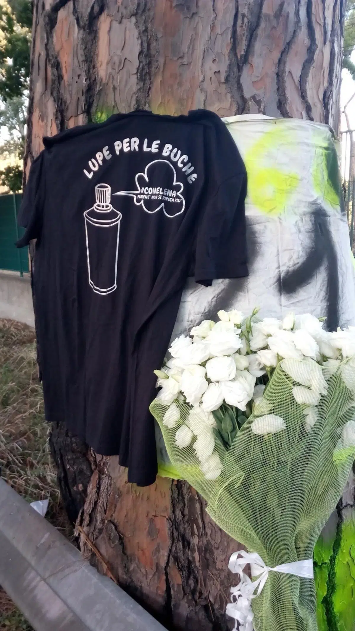 'Lupe de Roma': nel nome di Elena, vernice spray segnala le buche (5)
