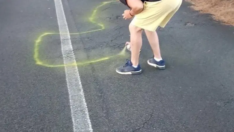 "Lupe de Roma": nel nome di Elena, vernice spray segnala le buche