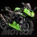 Kawasaki presenta le special edition