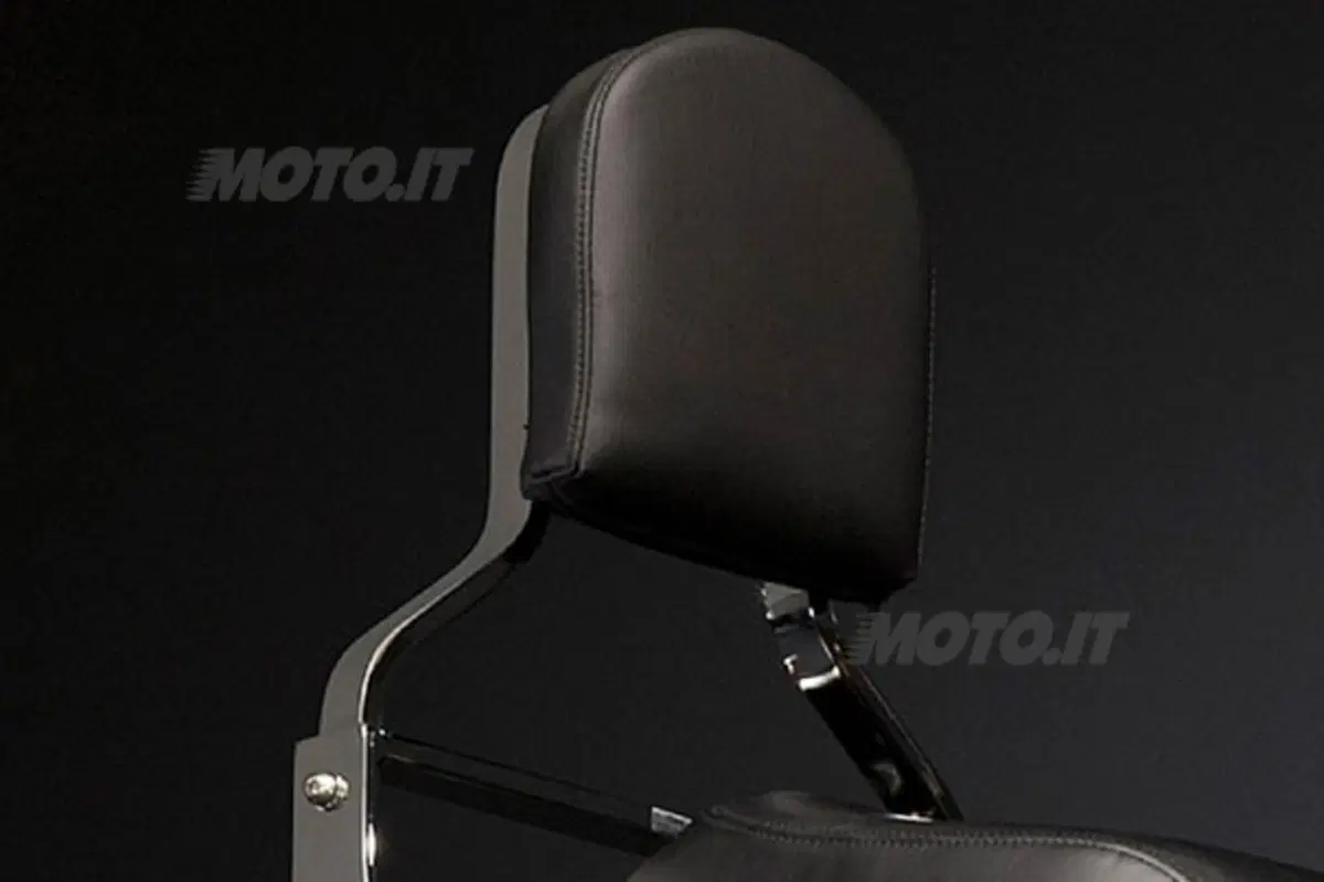 Kawasaki presenta le special edition (9)
