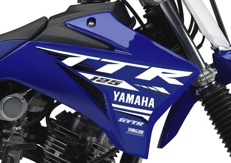 Yamaha TT R 125 TT R 125 LWE (2018 - 22) (5)