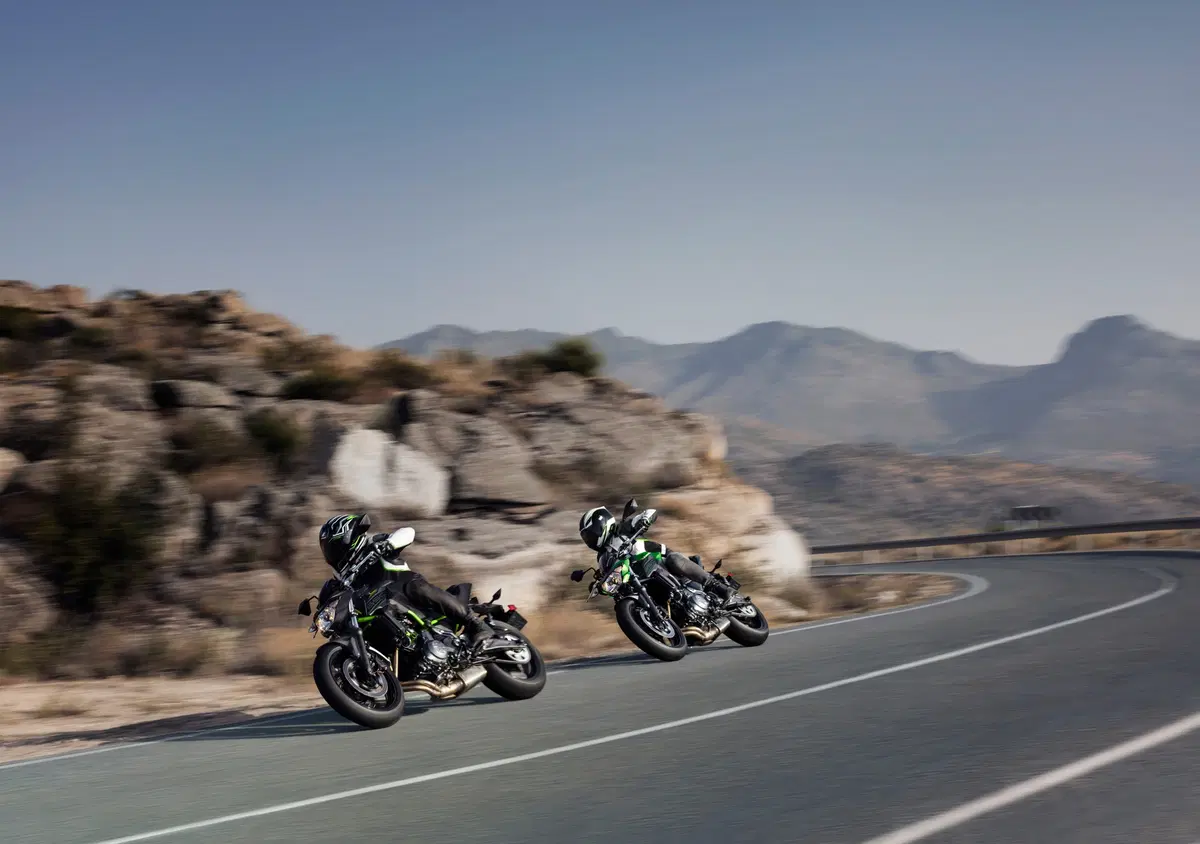 Kawasaki 2019: nuove colorazioni per Z 900RS, Z650, Versys 650 e Vulcan S (16)