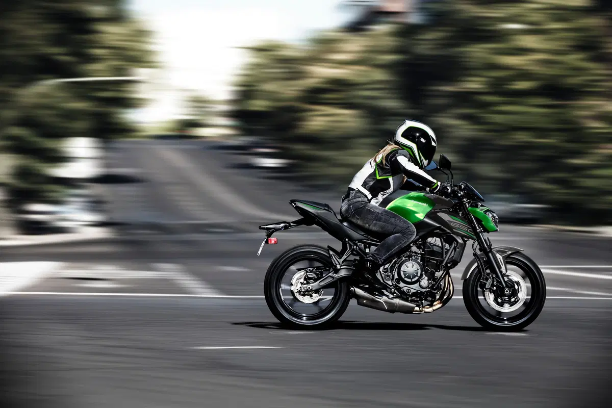 Kawasaki 2019: nuove colorazioni per Z 900RS, Z650, Versys 650 e Vulcan S (19)